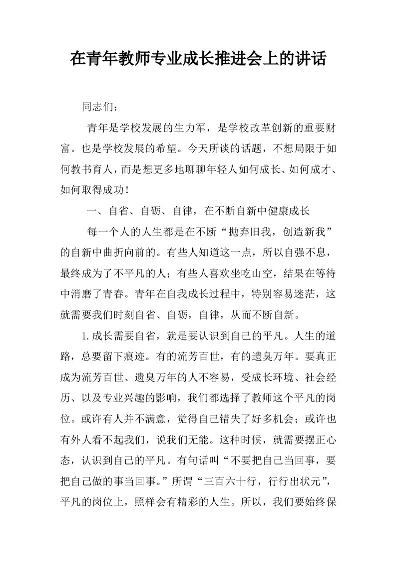 在青年教师专业成长推进会上的讲话