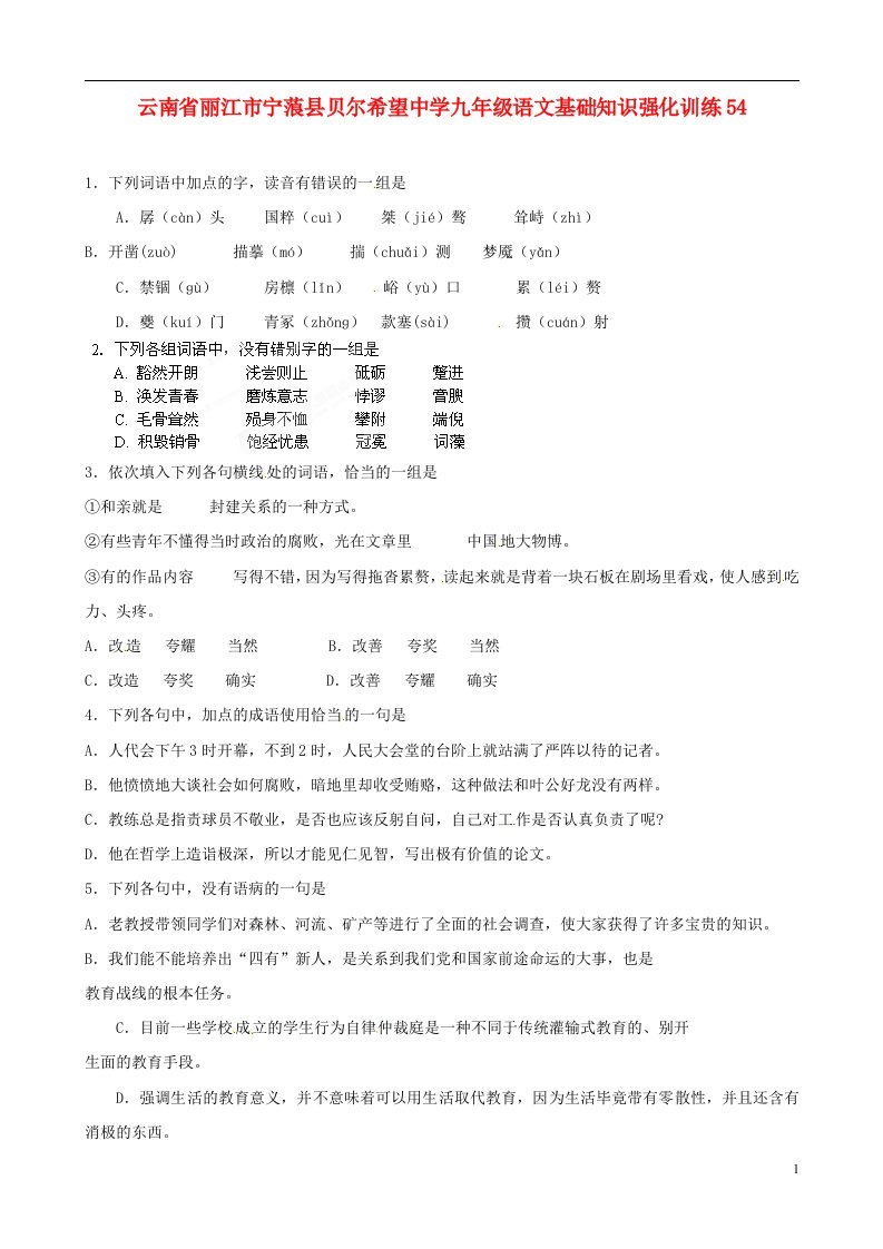 云南省丽江市宁蒗县贝尔希望中学九年级语文基础知识强化训练54