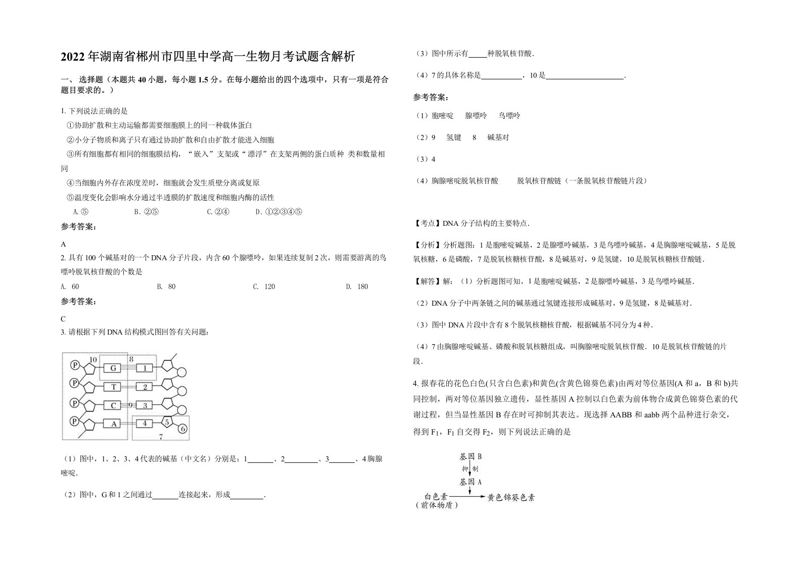 2022年湖南省郴州市四里中学高一生物月考试题含解析