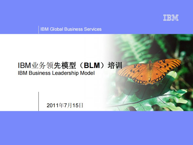 精品文档-IBM公司业务领导力模型BLM介绍47页ppt