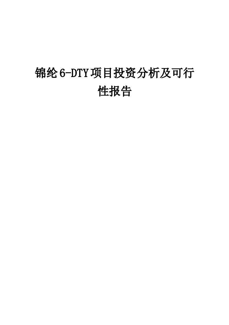 2024年锦纶6-DTY项目投资分析及可行性报告