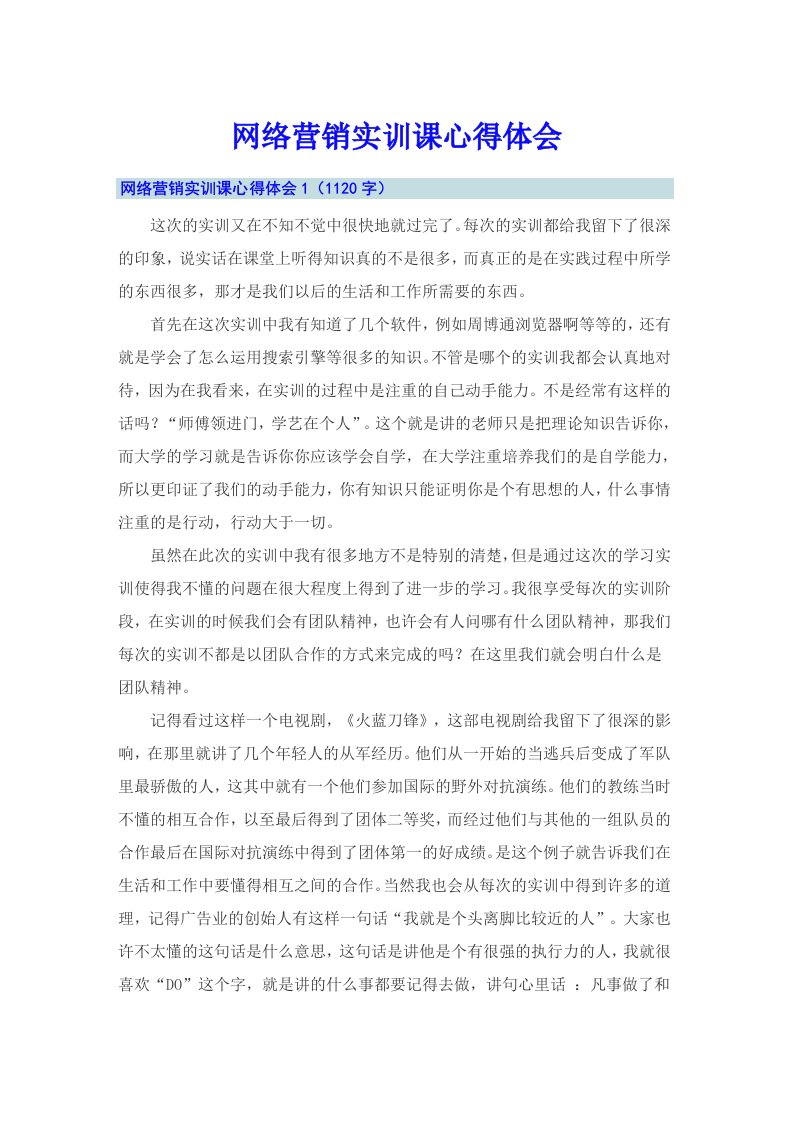 网络营销实训课心得体会