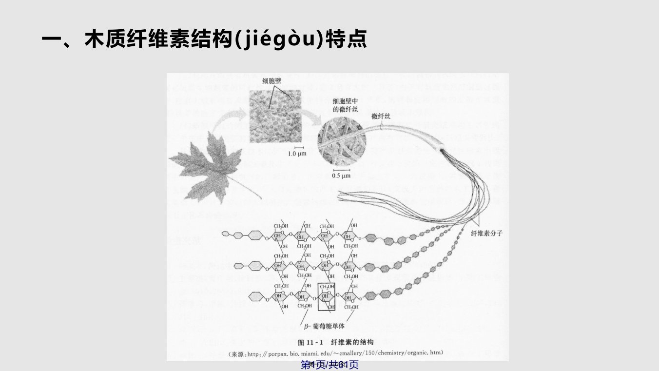 木质纤维素的生物分解及其转化技术学习教案