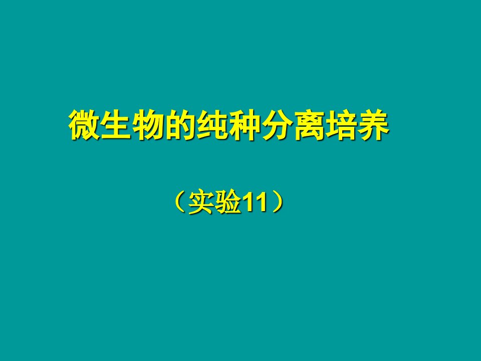 高二生物微生物的分离和纯培养