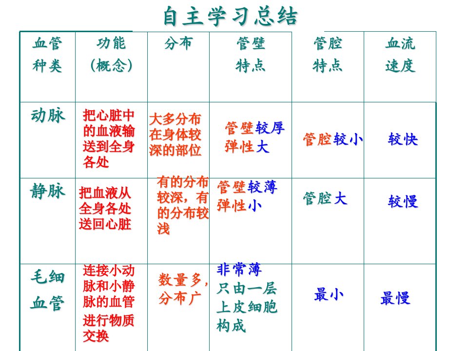 物质运输的器官-心脏