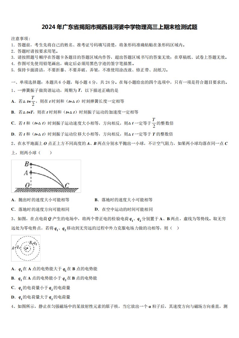 2024年广东省揭阳市揭西县河婆中学物理高三上期末检测试题含解析6556