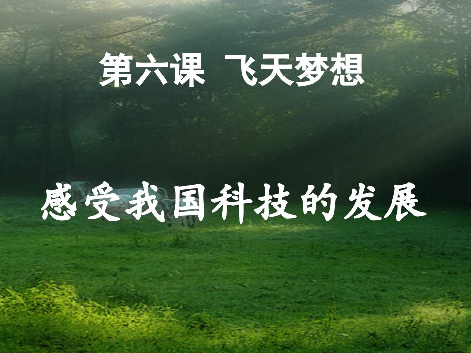 七年级政治下册飞天梦想课件1人民版