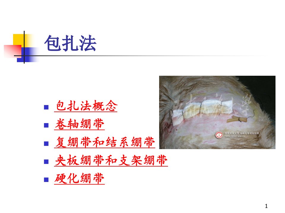 包扎法ppt课件