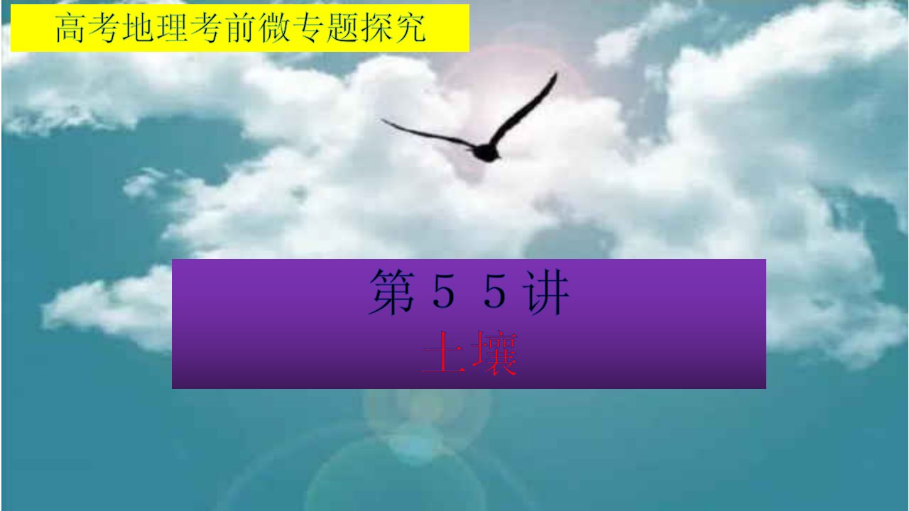 高考地理考前微专题探究55土壤(共38张)课件