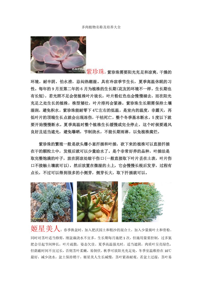 多肉植物名称及培养大全