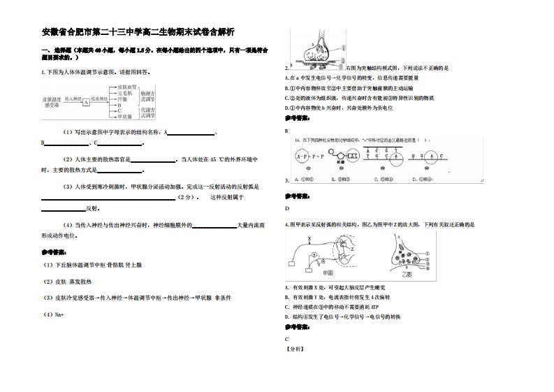 安徽省合肥市第二十三中学高二生物期末试卷含解析