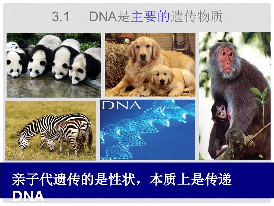 江西省南昌市高中生物