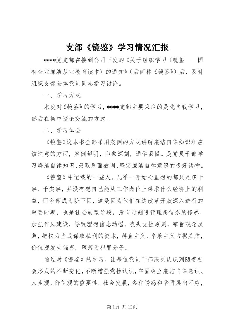 7支部《镜鉴》学习情况汇报