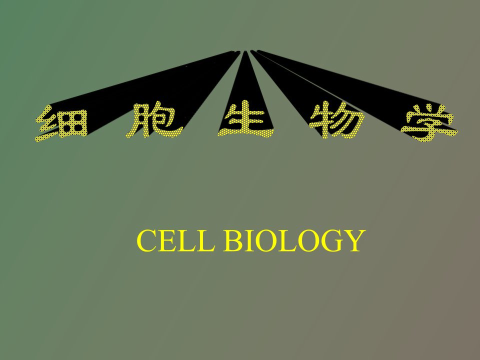 生理活动活体染色