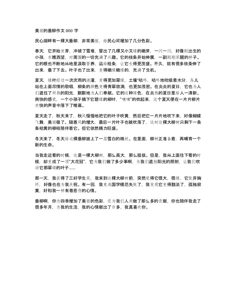 美丽的垂柳作文800字