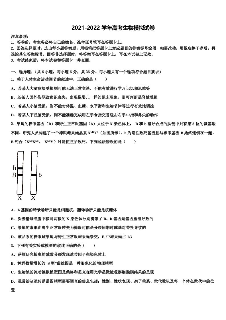 云南省师宗县第二中学2021-2022学年高三第二次模拟考试生物试卷含解析