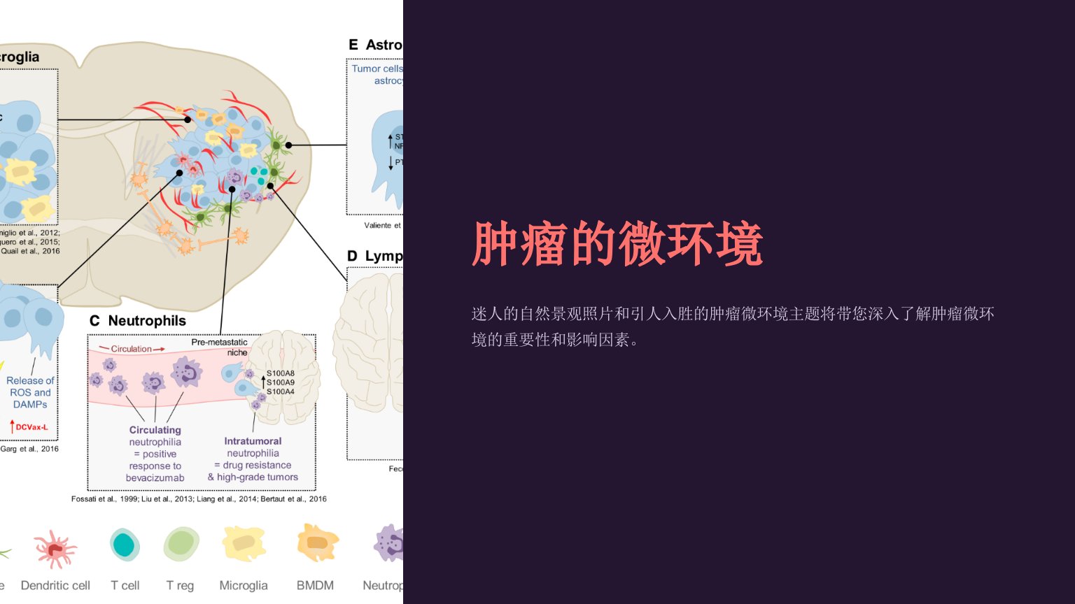 《肿瘤的微环境》课件