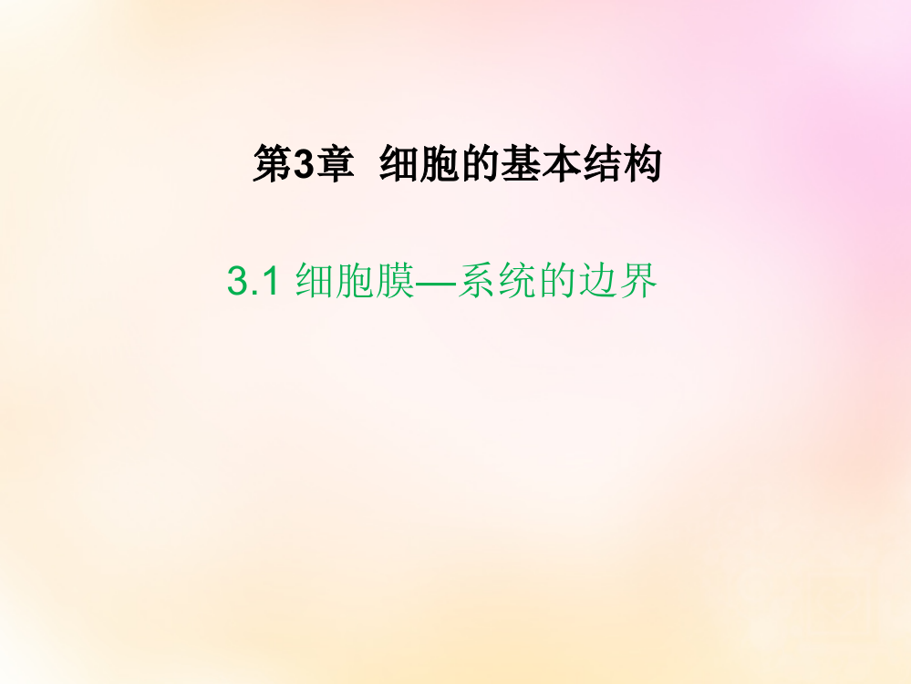 细胞结构复习