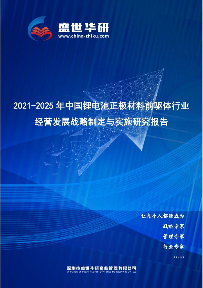 2021-2025年中国锂电池正极材料前驱体行业经营发展战略及规划制定与实施研究报告