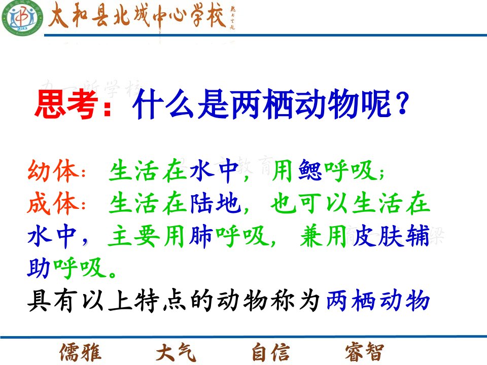 初中生物两栖动物和爬行动物ppt课件