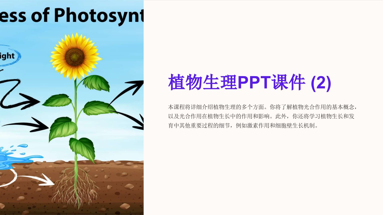 《植物生理》课件