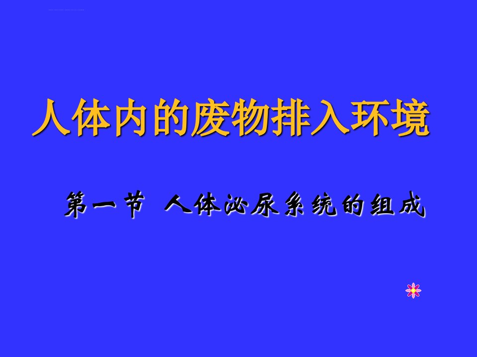 七年级生物人体泌尿系统的组成ppt课件