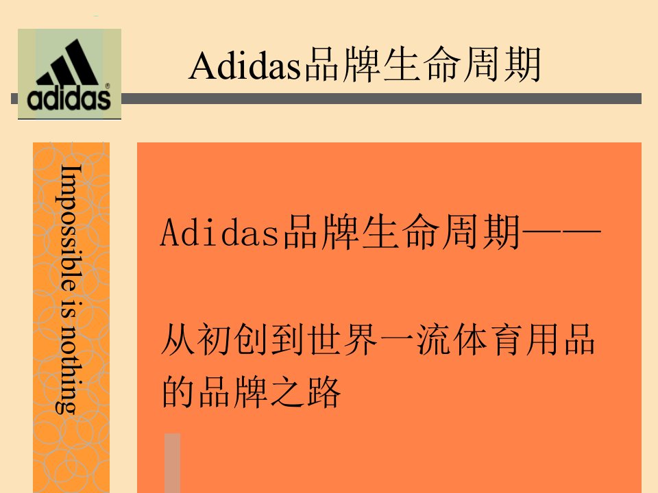 Adidas品牌生命周期