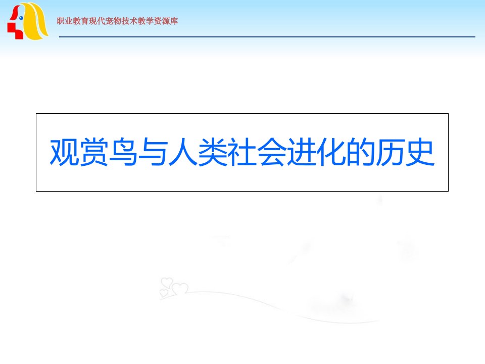 观赏鸟与人类社会进化的历史课件
