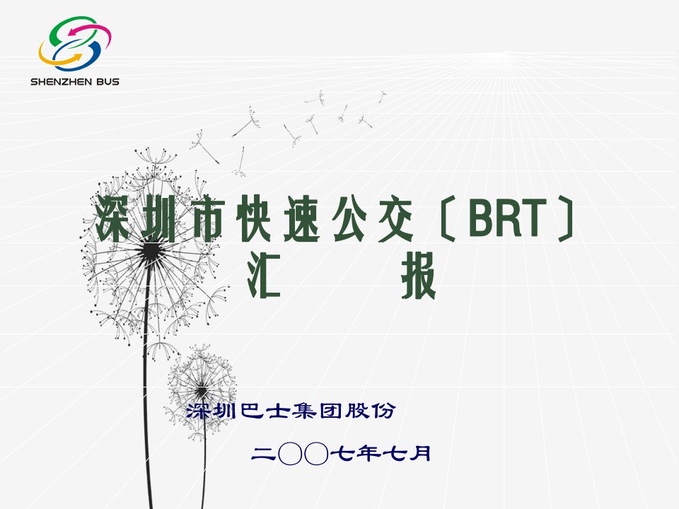 深圳市快速公交(BRT)汇报