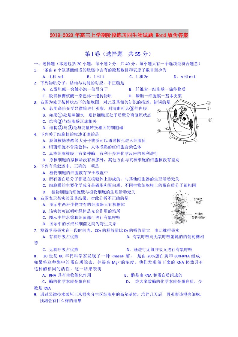 2019-2020年高三上学期阶段练习四生物试题