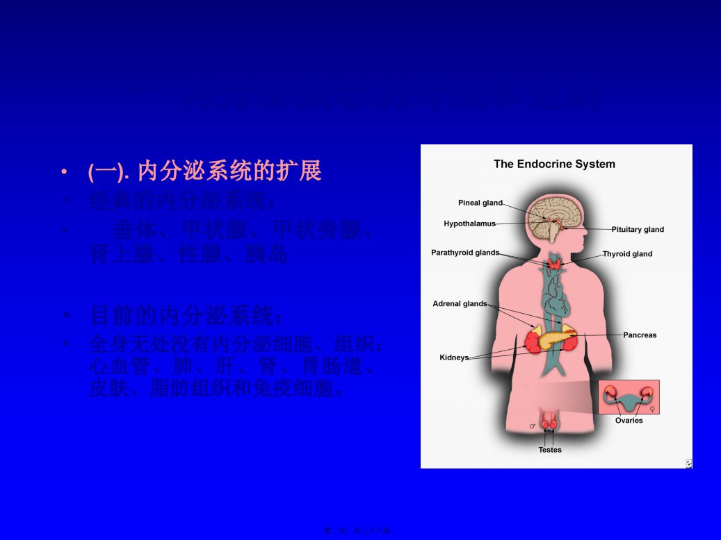 内分泌学总论