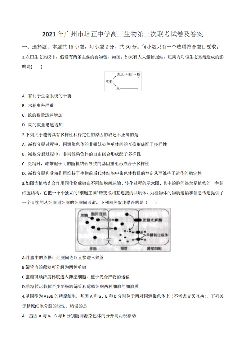 2021年广州市培正中学高三生物第三次联考试卷及答案