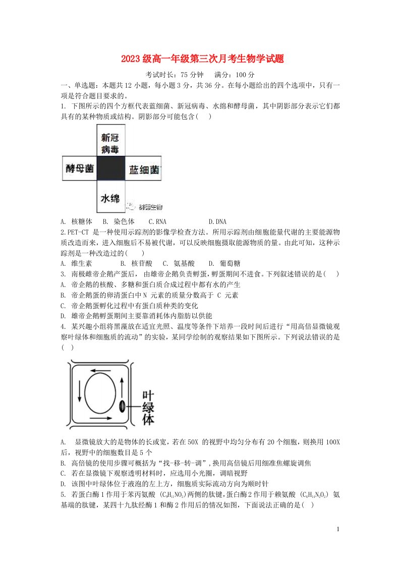 江西省信丰县2023_2024学年高一生物上学期第三次月考试题