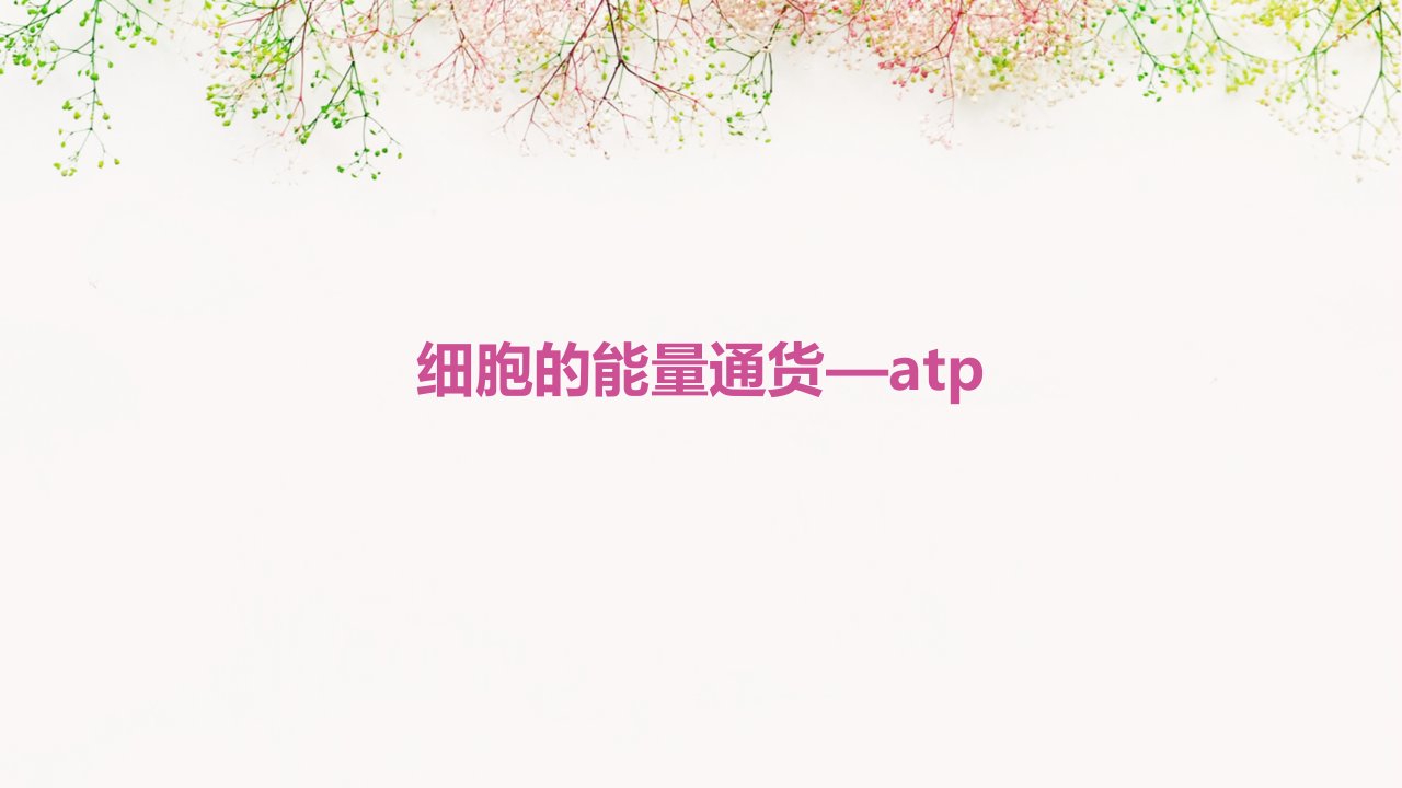 细胞的能量通货—atp