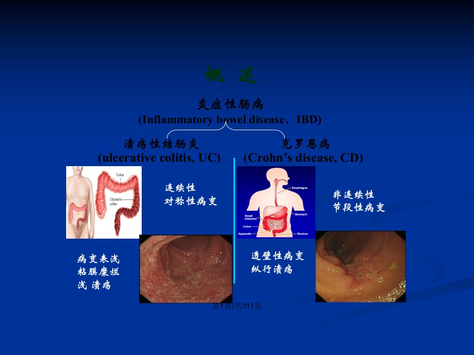 内科学进展张红杰