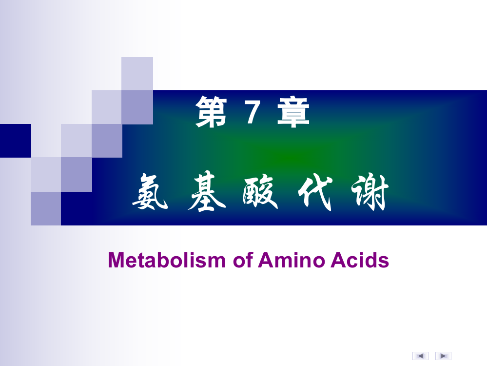 第07章氨基酸代谢-2012年秋课件