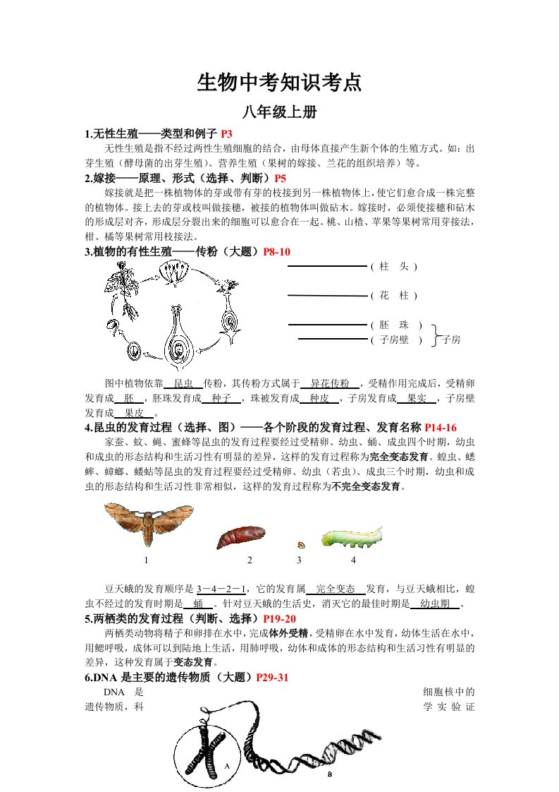 生物中考知识考点纲要