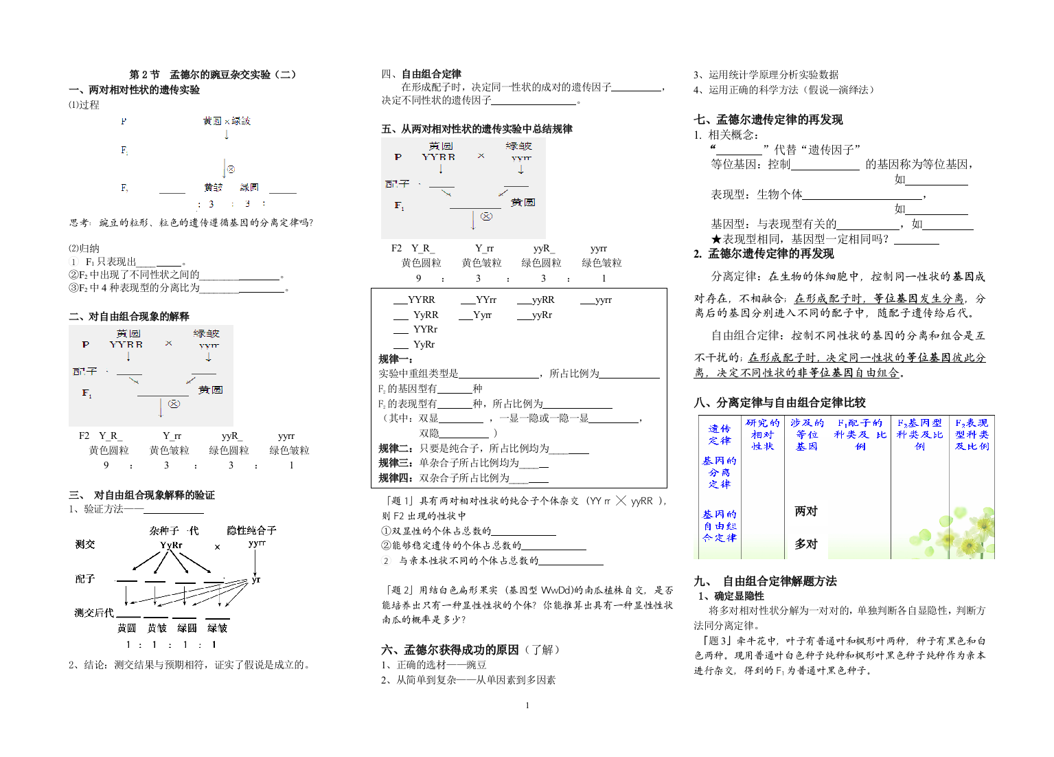 基因的自由组合定律课件学案