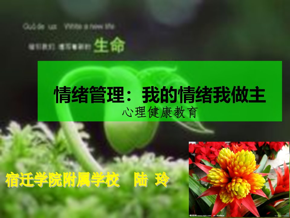 情绪管理我的情绪我做主微课课件市公开课一等奖市赛课获奖课件