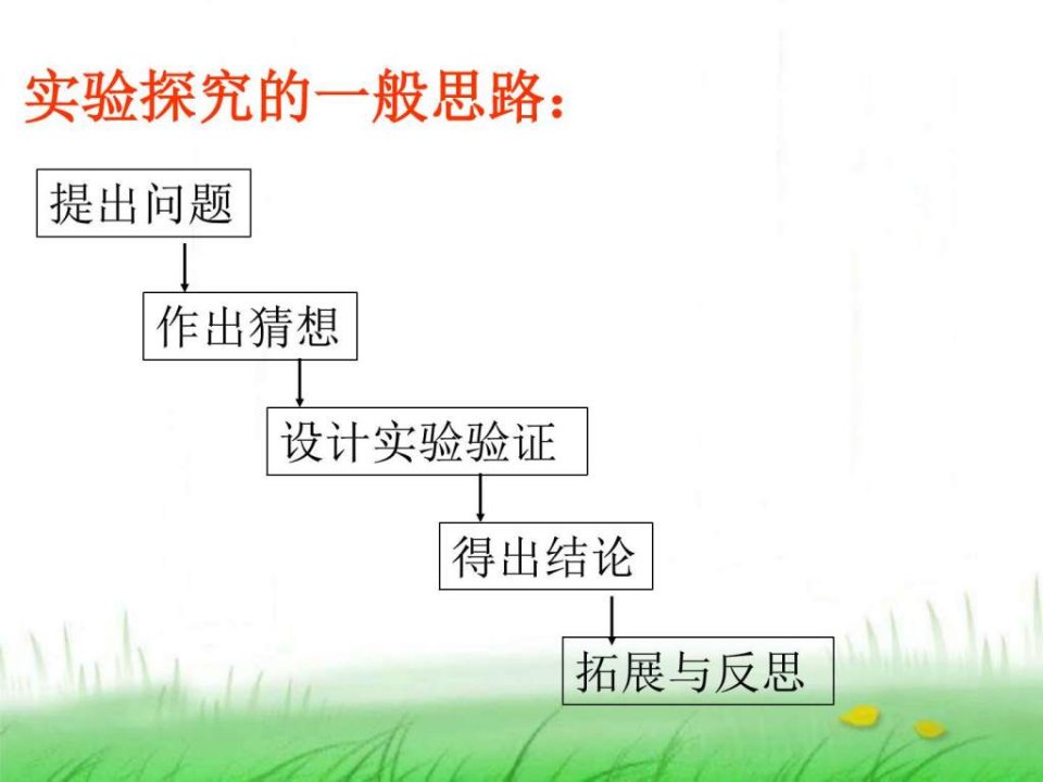 有关反应后物质成分的探究PPT课件