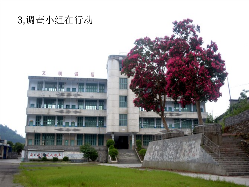 六年级科学下册