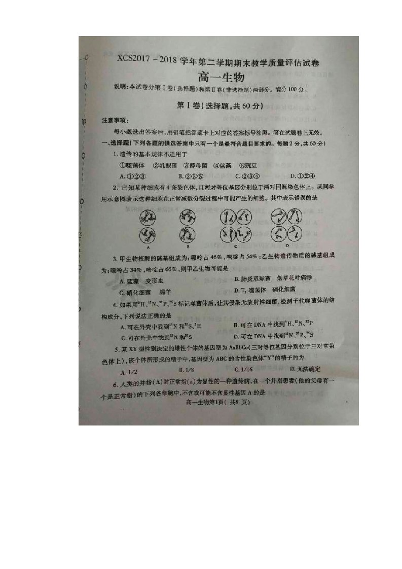 河南省许昌实验中学高一下学期期末考试生物试题（版）