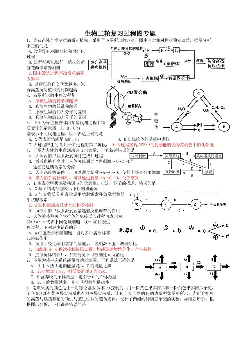 生物二轮复习过程图专题