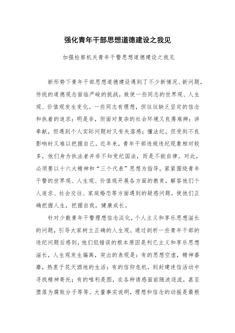 心得体会范文_经验交流材料_强化青年干部思想道德建设之我见