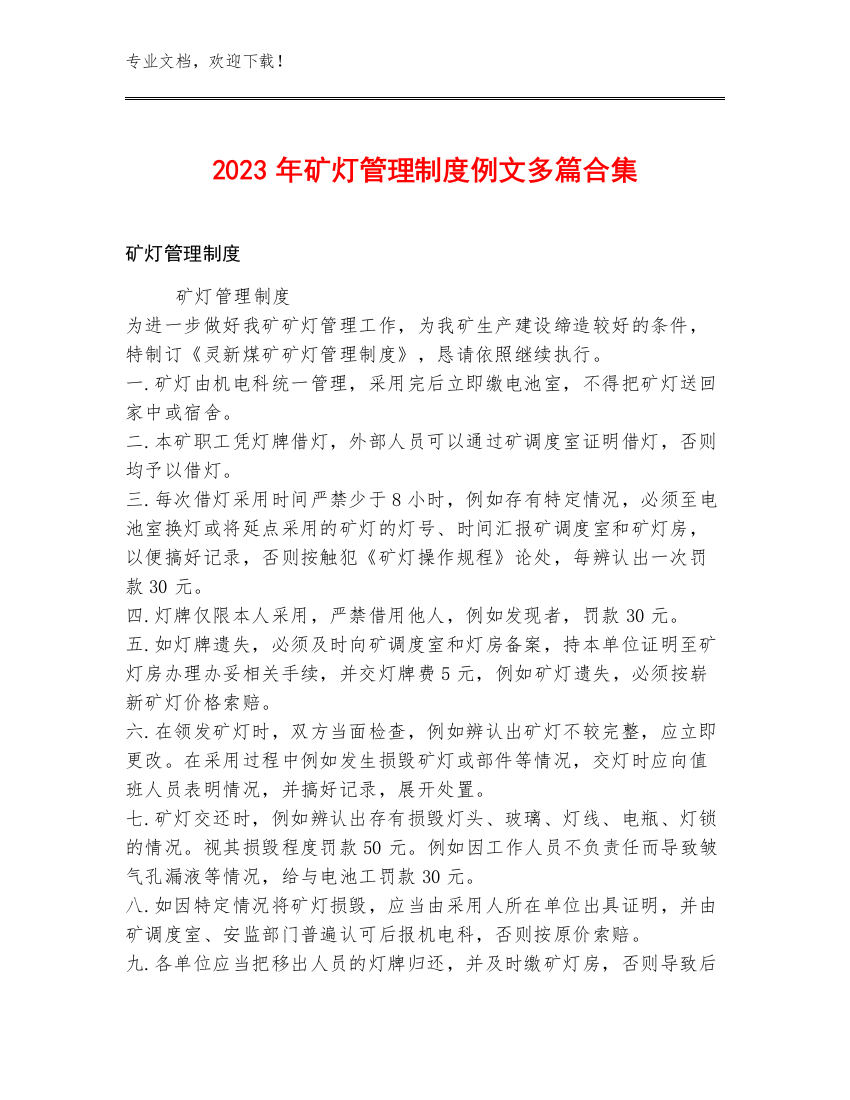 2023年矿灯管理制度例文多篇合集