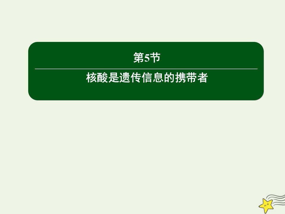 新教材高中生物第2章组成细胞的分子5核酸是遗传信息的携带者课件新人教版必修1