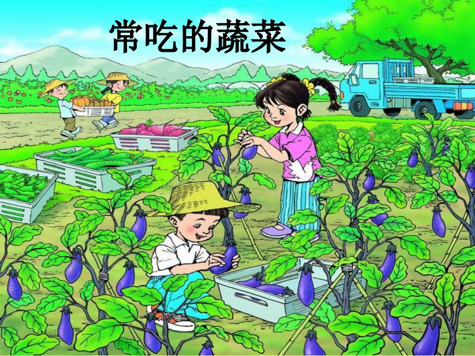 人教版生活与科技一下《常吃的蔬菜和水果》课件1