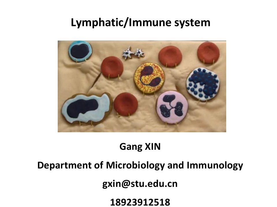 医学英语医英immunesystem