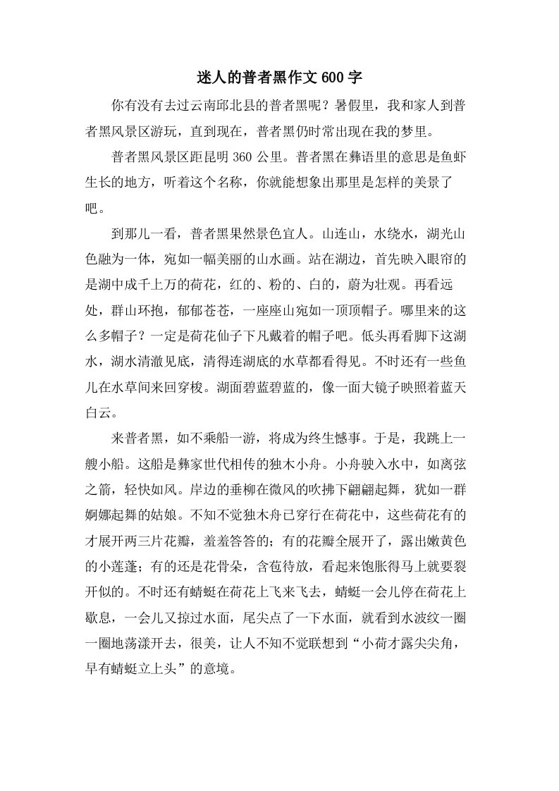 迷人的普者黑作文600字