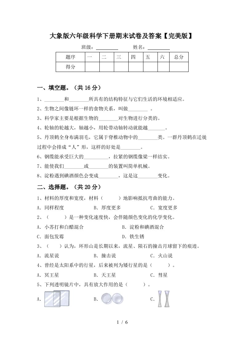 大象版六年级科学下册期末试卷及答案完美版